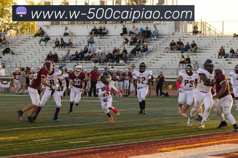 App Interface Preview